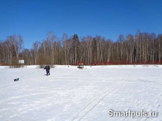 Зимний пейзаж в национальном парке "Лосиный Остров" (Москва)