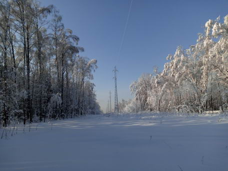 Москва, ЛЭП в национальном парке "Лосиный Остров" после снегопада