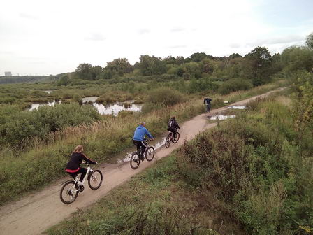Велосипедисты на дорожке между болотами в национальном парке "Лосиный Остров"
