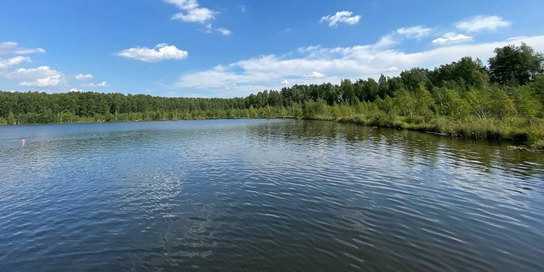 Вид на озеро Бабошкино с понтонного пляжа