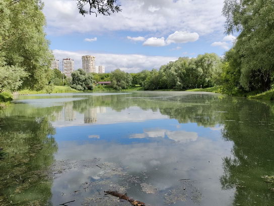 Пруд Богатырь (Богатырский), (Москва, ВАО, Богородское, Лосиный Остров)