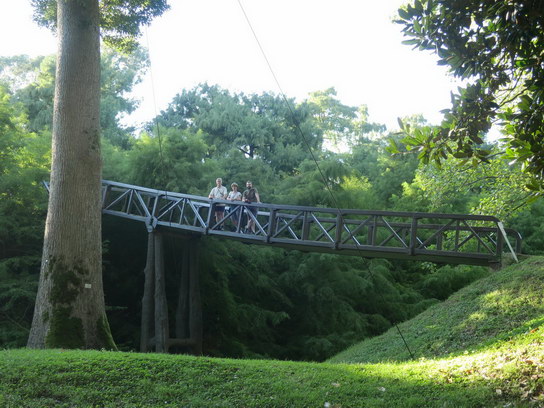 Мост в дендропарке Шекветили
