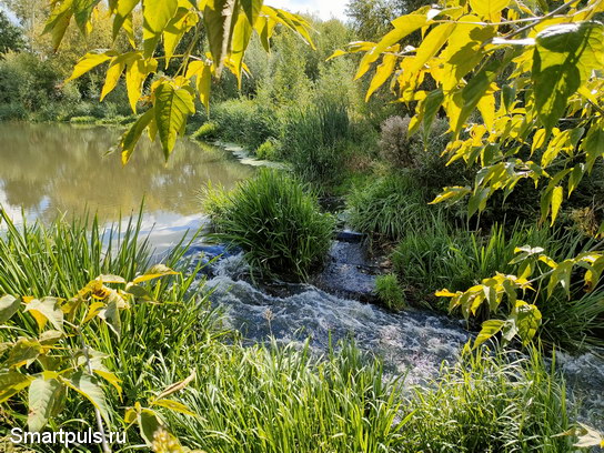 Перекат (почти водопад) на Яузе в Мытищах