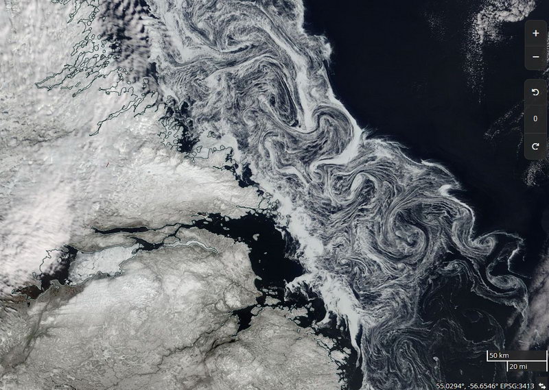 Классификация арктического льда на спутниковых снимках - шуга