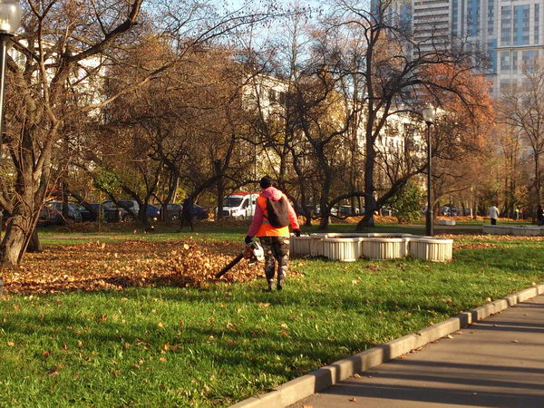 Осенняя уборка листвы в московских скверах, парках и бульварах