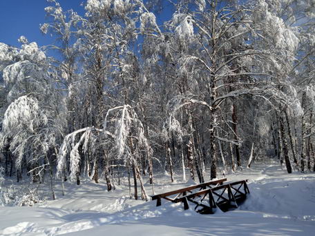 Москва, национальный парк "Лосиный Остров" после снегопада