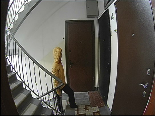 Работа дверного видеоглазка