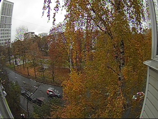 Улица, изображение с видеоглазка