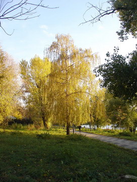 Аллея на берегу Черкизовского пруда (Москва, район Преображенское)