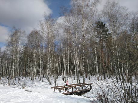Зима в национальном парке "Лосиный Остров", Москва (тест фотосъемки смартфоном sony xperia xa2)