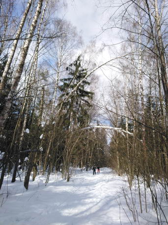 Зима в национальном парке "Лосиный Остров", Москва (тест фотосъемки смартфоном sony xa2)