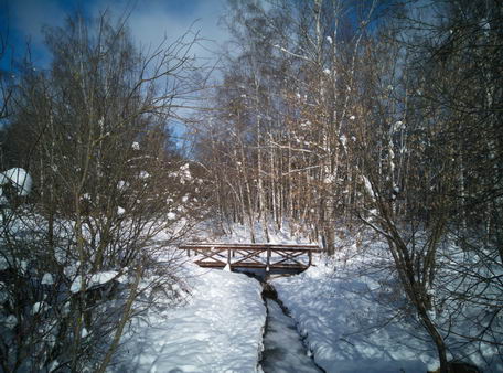 Национальный парк "Лосиный Остров" зимой, Москва. Снимок камерой смартфона Vernee Active в формате RAW